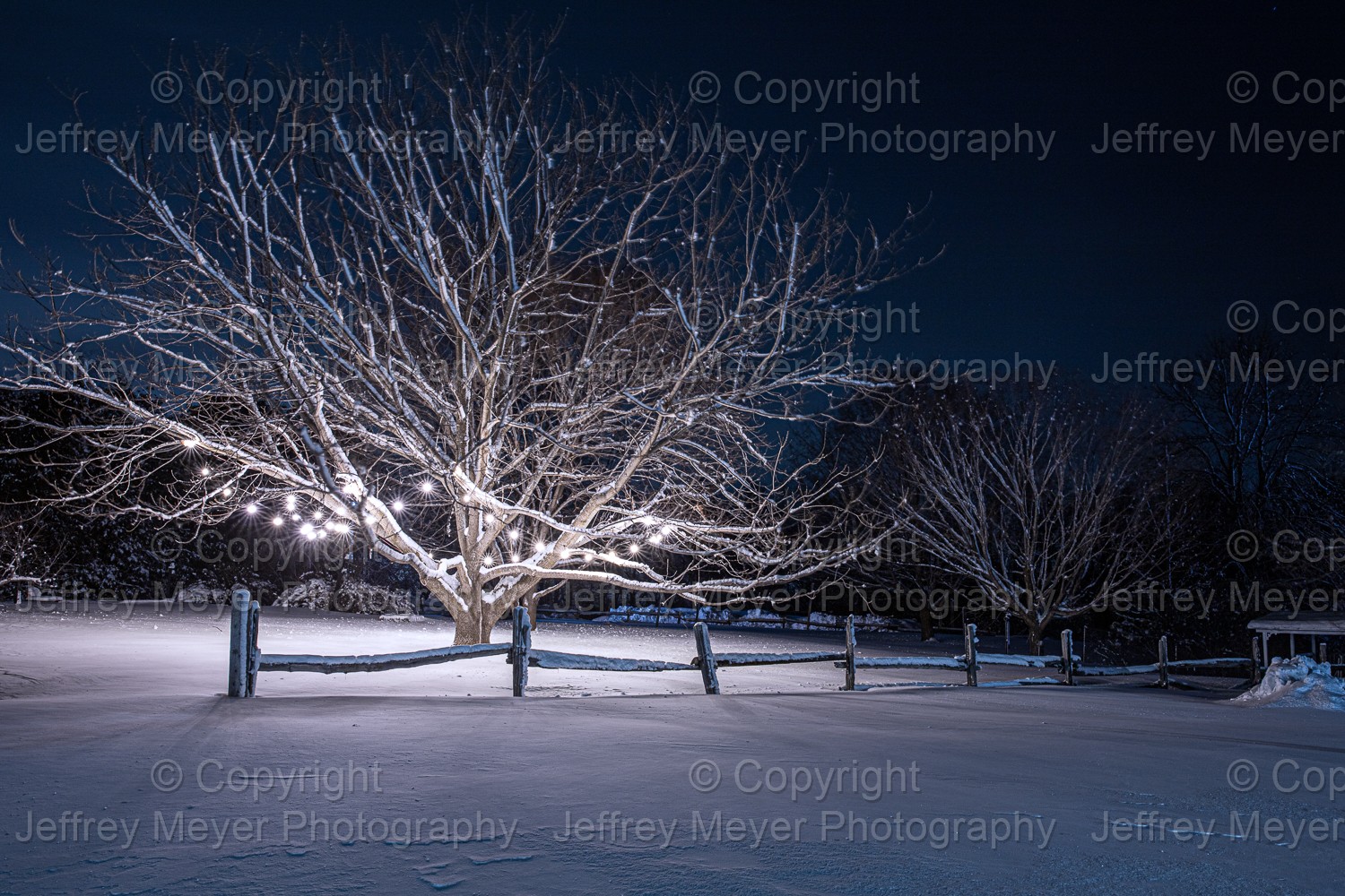 Winter serenity 