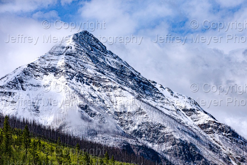 Fresh Mountain Air 