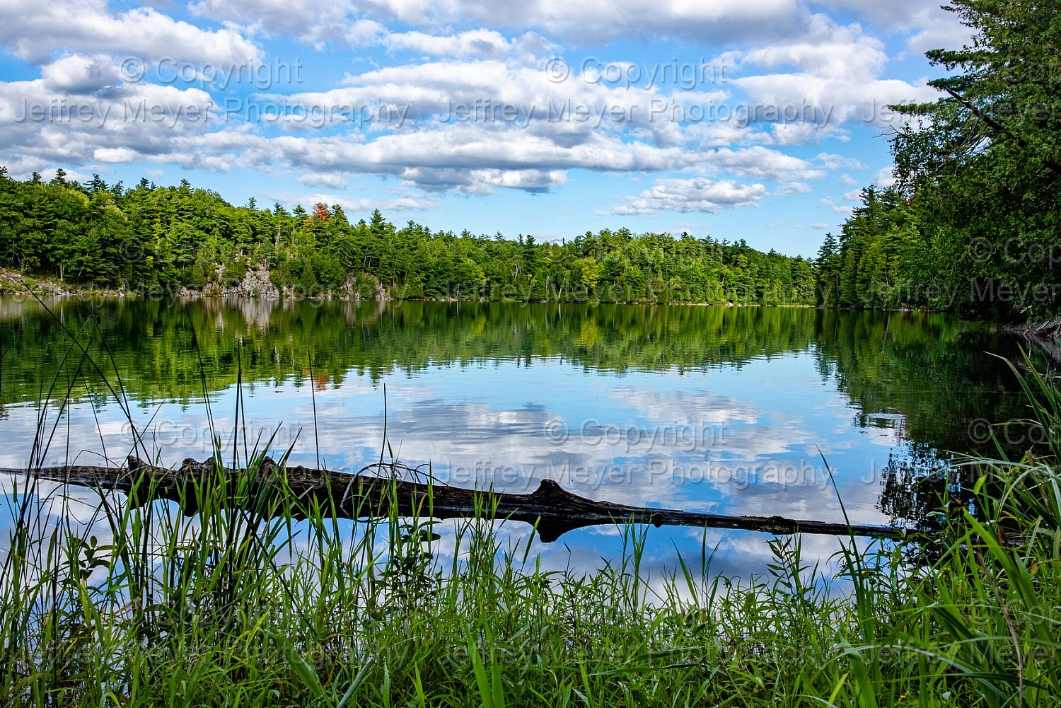 Gatineau Park | Pink Lake 