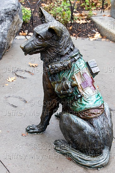 November:  A time for remembrance - w(ar)t 