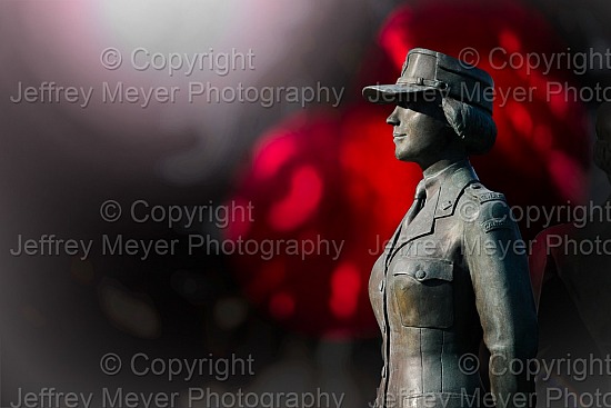 To the women who served or gave their lives during WWI and WWII 